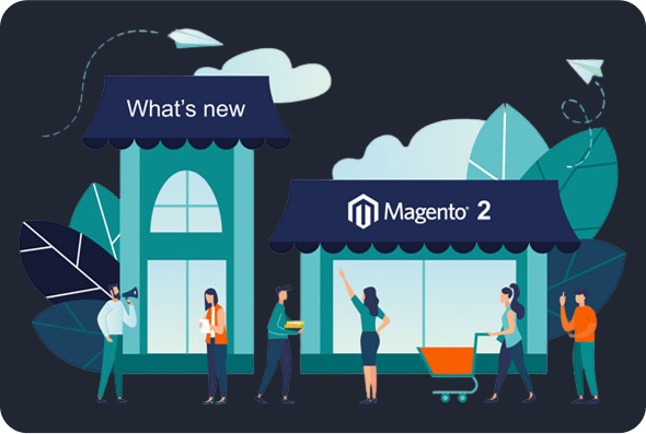 MAGENTO 2 BUILD