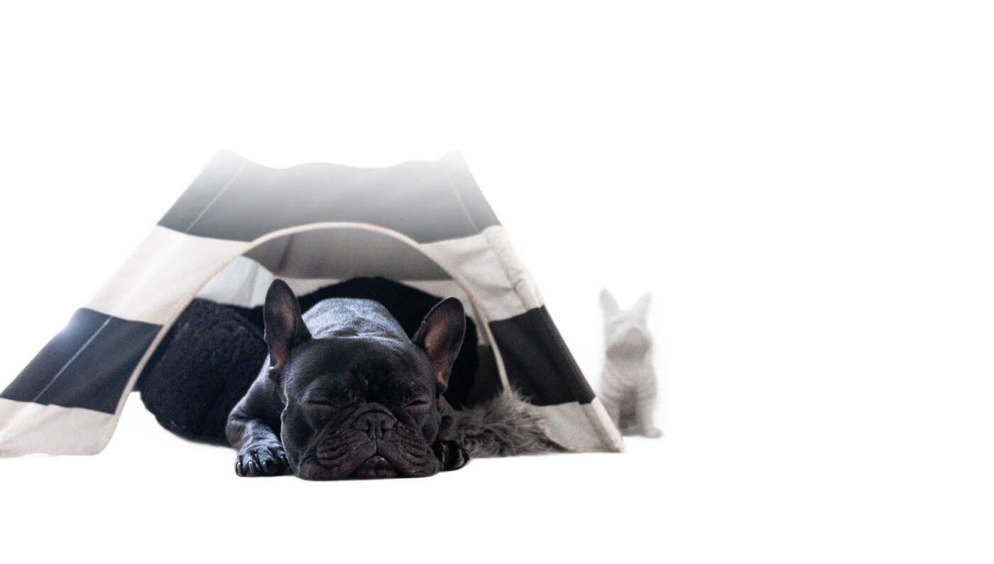 PetDoors